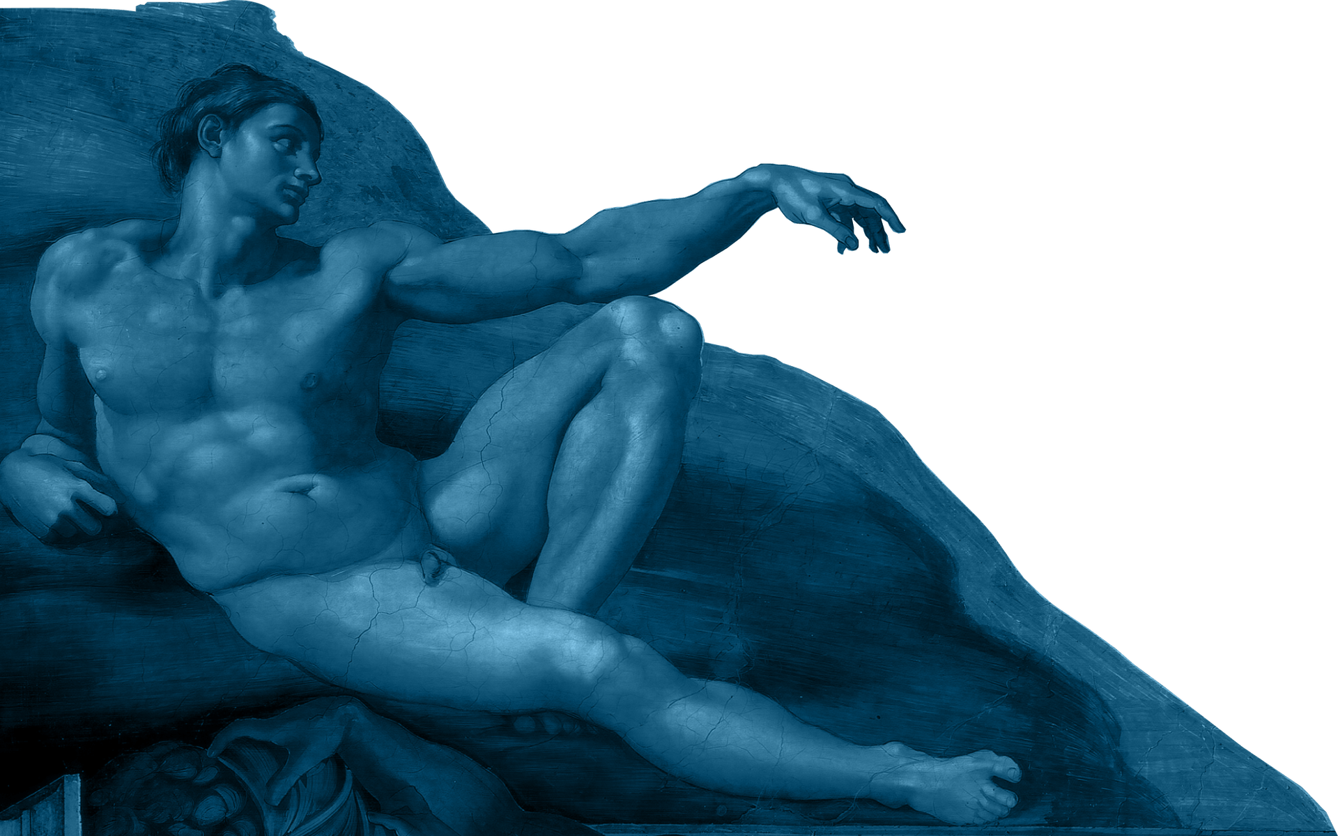 Adam Parallax